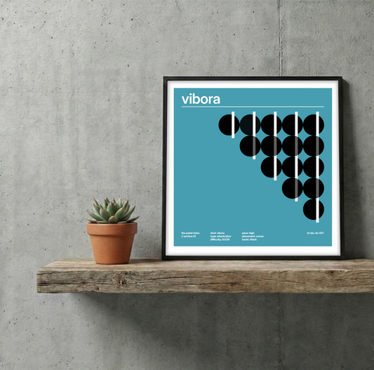 //01 vibora framed fine art print
