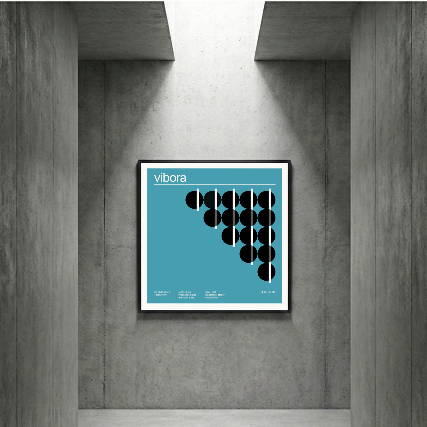 //01 vibora framed fine art print